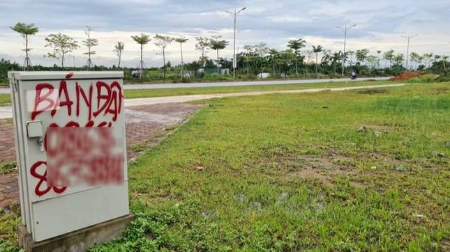 Huyện sắp lên quận ở Hà Nội sẽ đấu giá gần 500 thửa đất ảnh 1