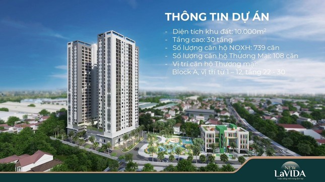 Xôn xao nhà xã hội ở Bình Dương bán với giá nhà thương mại ảnh 1