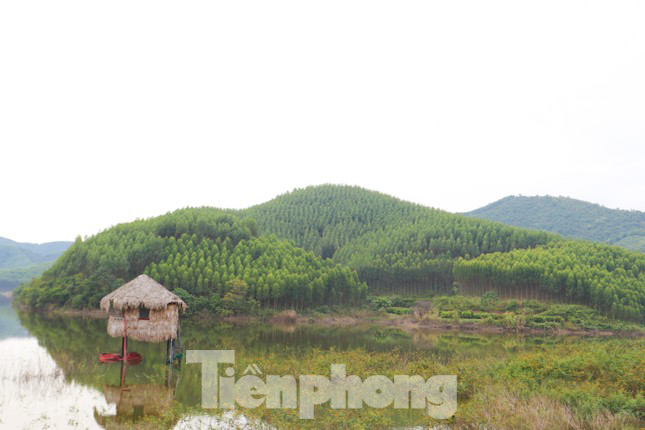 Vượt 'đỉnh' giá chung cư vẫn tiếp tục tăng, đất nền bước vào chu kỳ mới ảnh 7