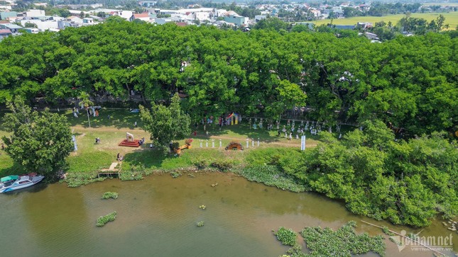 Chen chân check-in 9 cây sưa trăm tuổi vừa được công nhận di sản Việt Nam ảnh 1