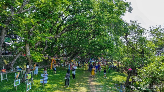 Chen chân check-in 9 cây sưa trăm tuổi vừa được công nhận di sản Việt Nam ảnh 9