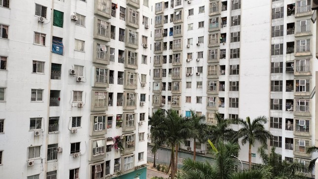 Ồ ạt đấu giá đất, lãi suất cho vay mua nhà rẻ nhất ảnh 7