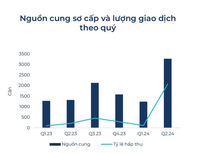 Nguyên nhân nào khiến phân khúc BĐS nghỉ dưỡng thấp tầng chưa thể khởi sắc? ảnh 1