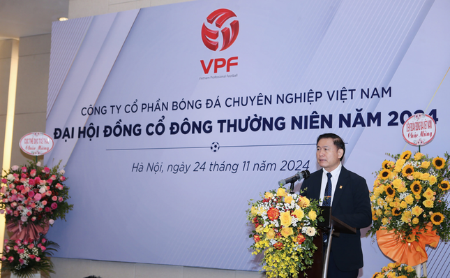 VPF báo cáo doanh thu dự kiến tăng 113% trong năm 2024 ảnh 1