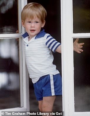 La photo d'enfance de la princesse Kate provoque de la fièvre car elle ressemble tellement au prince Louis photo 8