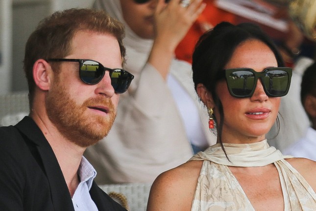 Harry and Meghan's foundation banned photo 1