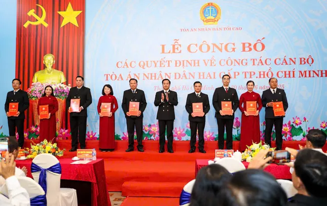 Bổ nhiệm Chánh án, Phó Chánh án Tòa án nhân dân nhiều tỉnh, thành ảnh 1