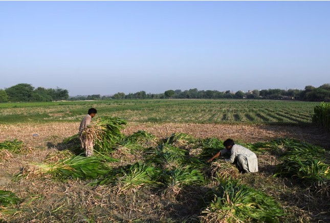 Người Pakistan hoảng sợ vì đòn trả đũa của Ấn Độ ảnh 1