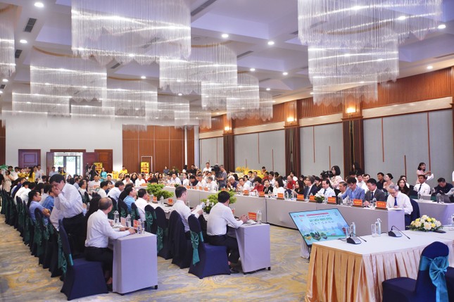 Chuyên gia quốc tế hiến kế giúp du lịch Ninh Bình ‘cất cánh’ ảnh 2