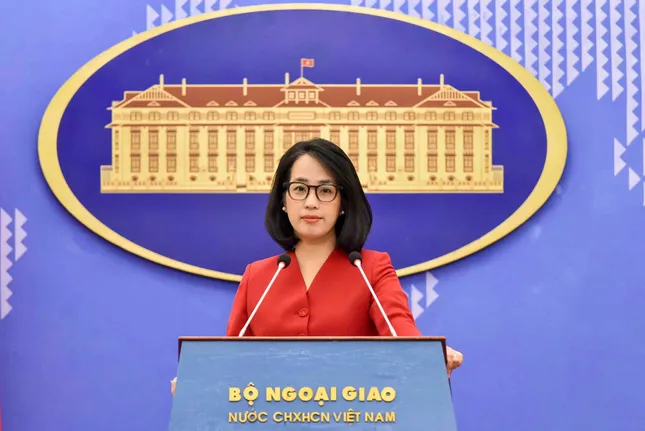 Việt Nam trở thành nước đối tác của BRICS ảnh 1