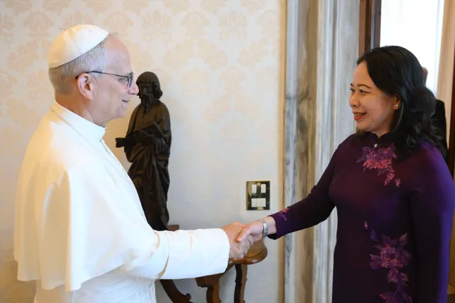 Giáo hoàng Leo XIV mong muốn thăm Việt Nam ảnh 1