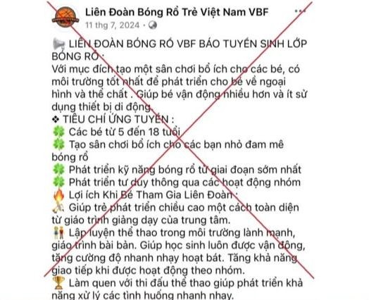 Bị lừa hơn 1 tỷ đồng sau khi đăng ký cho con học bóng rổ qua mạng ảnh 1