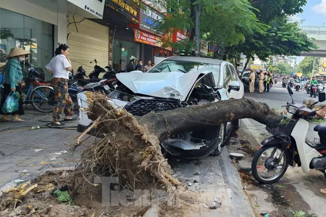 Giám đốc Công an Hà Nội chỉ đạo khẩn trương điều tra vụ tai nạn trên phố Trần Đại Nghĩa ảnh 1