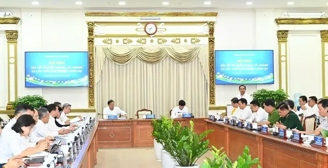 TPHCM, Bình Dương và Bà Rịa - Vũng Tàu bàn phương án sắp xếp tổ chức bộ máy ảnh 1