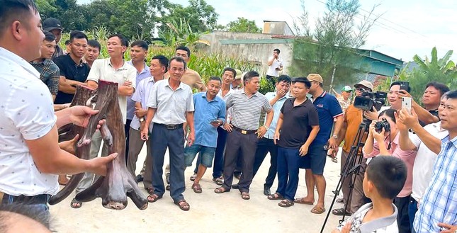 Cặp nhung nai hiếm có nặng gần 12kg hình mào gà vừa được &apos;chốt đơn&apos; ảnh 2