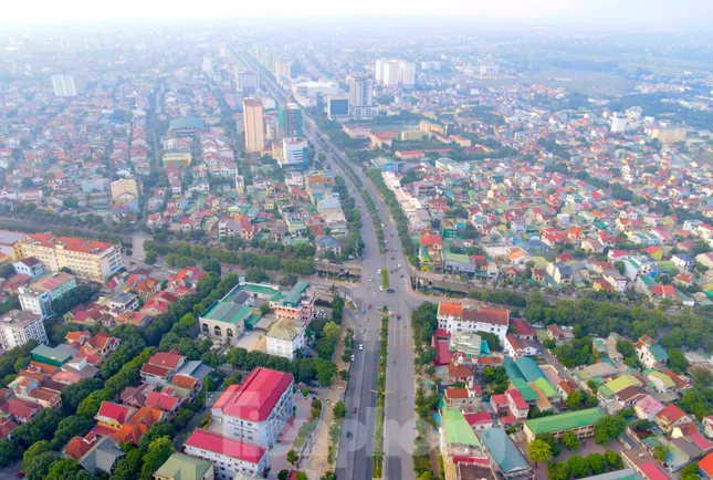 Chặt bỏ hàng trăm cây cau vua trên tuyến đường đẹp nhất TP. Vinh ảnh 1