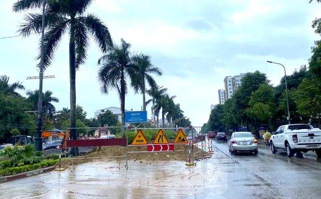 Chặt bỏ hàng trăm cây cau vua trên tuyến đường đẹp nhất TP. Vinh ảnh 3