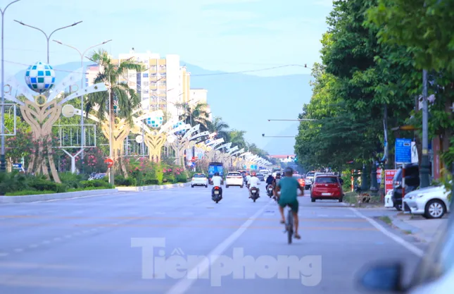 Chặt bỏ hàng trăm cây cau vua trên tuyến đường đẹp nhất TP. Vinh ảnh 9