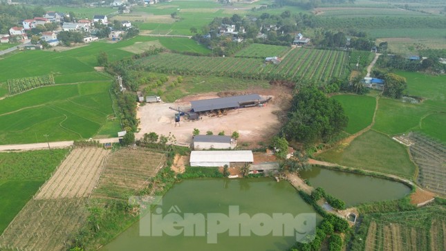 Yêu cầu xưởng gỗ &apos;khủng&apos; xây dựng trái phép dừng hoạt động sau phản ánh của Tiền Phong ảnh 1