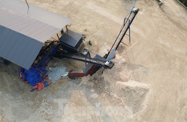 Yêu cầu xưởng gỗ &apos;khủng&apos; xây dựng trái phép dừng hoạt động sau phản ánh của Tiền Phong ảnh 3