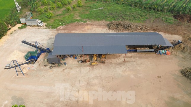 Yêu cầu xưởng gỗ &apos;khủng&apos; xây dựng trái phép dừng hoạt động sau phản ánh của Tiền Phong ảnh 2