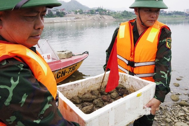 Trục vớt được 32 quả lựu đạn trên sông Đà ảnh 1