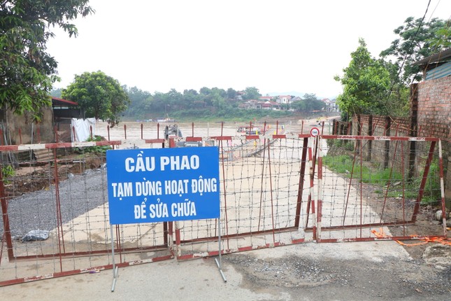 Nước sông Hồng dâng cao, cầu phao Phong Châu tạm dừng hoạt động ảnh 1