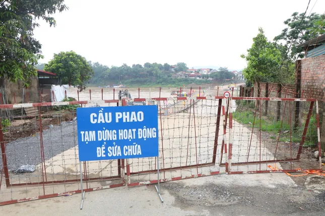Khẩn cấp cắt cầu phao Phong Châu ảnh 1