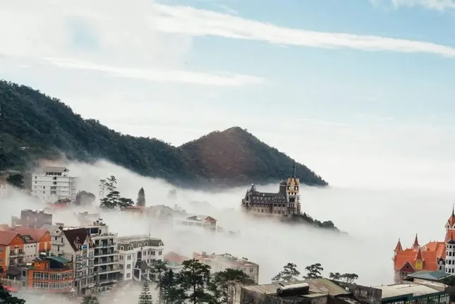 Phú Thọ: Xã Tam Đảo mới to gấp 37 lần thị trấn cũ ảnh 1