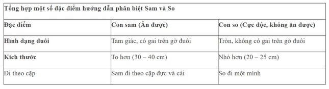 Ăn hải sản chứa chất kịch độc, nữ bệnh nhân nguy kịch ảnh 2