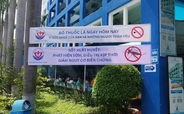Sốt xuất huyết tăng nhanh, TPHCM cảnh báo nguy cơ bùng phát dịch ảnh 2