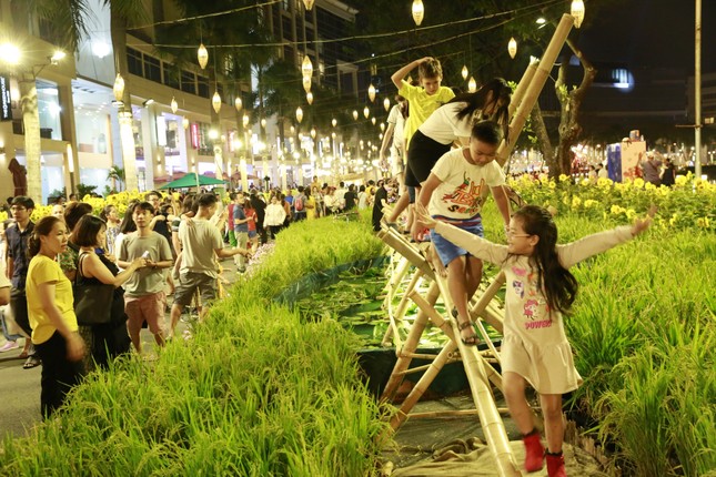 Khai mạc Hội hoa xuân Phú Mỹ Hưng ảnh 3