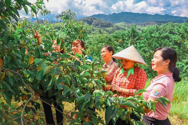 Câu chuyện thoát nghèo của phụ nữ Lạng Sơn ảnh 2
