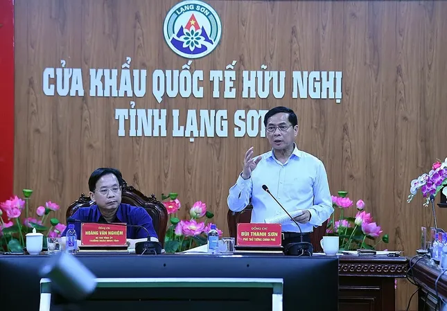 Phó Thủ tướng Bùi Thanh Sơn chỉ đạo công tác phòng chống buôn lậu ở Lạng Sơn ảnh 2