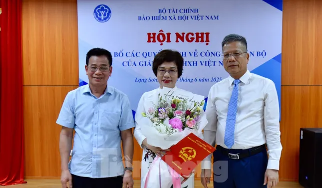 Bảo hiểm xã hội khu vực 5 có nữ giám đốc- Ảnh 1. Bảo hiểm xã hội khu vực 5 có nữ giám đốc- Ảnh 1.
