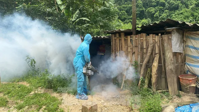 Công bố dịch tả lợn châu Phi tại tỉnh Lạng Sơn ảnh 2