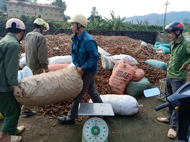 Những ‘thủ lĩnh&apos; xóa nghèo ở Lạng Sơn ảnh 1