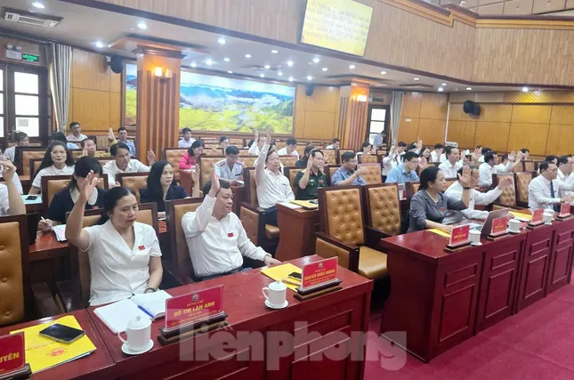 Cho thôi làm Đại biểu HĐND tỉnh Lạng Sơn vì lý do sức khỏe ảnh 1