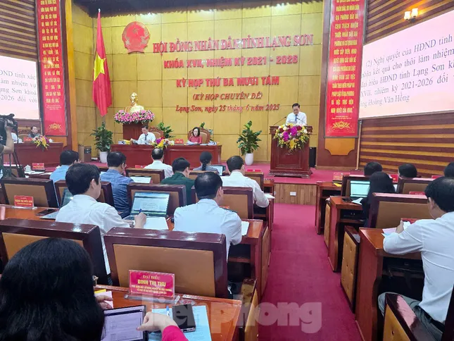 Cho thôi làm Đại biểu HĐND tỉnh Lạng Sơn vì lý do sức khỏe ảnh 2