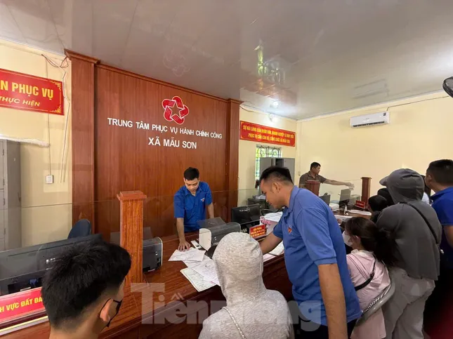 Sức sống mới trên đỉnh Mẫu Sơn ảnh 2