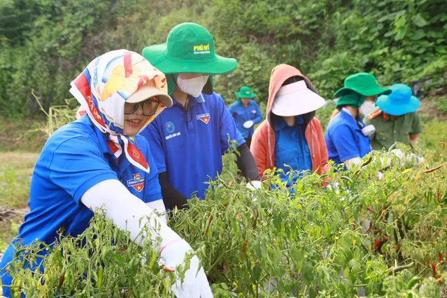 Mùa hè xanh ở Lạng Sơn ảnh 3