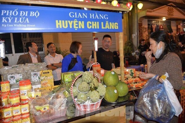 Pháo hoa rực sáng bầu trời, Việt Nam bước sang năm mới 2021 ảnh 10
