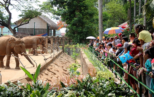 Khu vui chơi quá tải, chỗ nào cũng thấy người ảnh 5