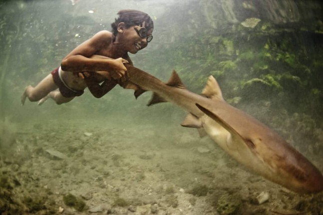 Trẻ em Bajau phải làm gì để tăng khả năng lặn sâu?