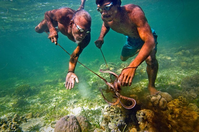 Bộ tộc Bajau có gì khác lạ với người thường?