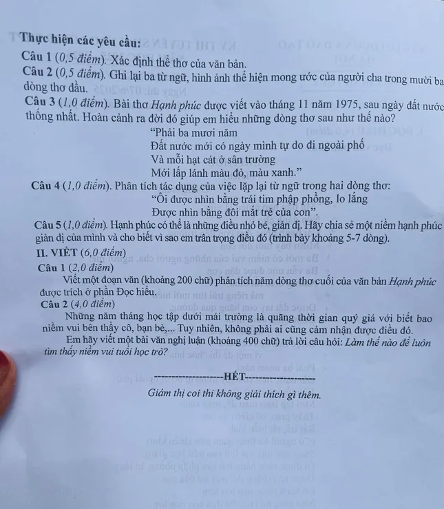 'Hạnh Phúc' của Giang Nam có mặt trong bài thi Ngữ Văn: Gợi ý giải đề ảnh 27
