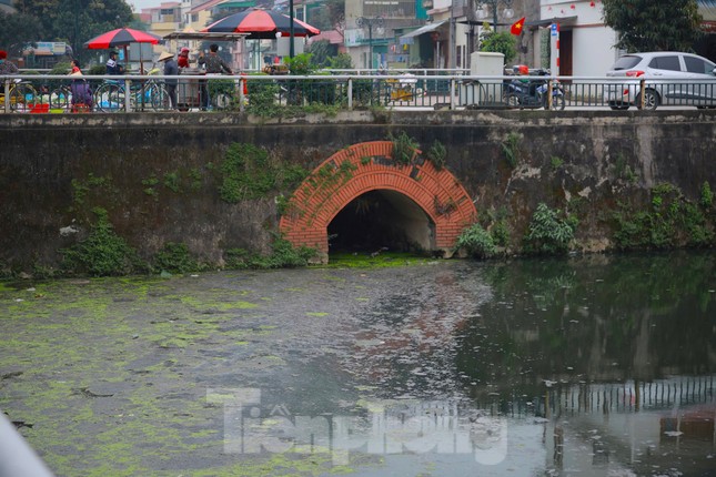 Con kênh bao quanh thành cổ Vinh đen đặc, bốc mùi: Đơn vị quản lý nói gì? ảnh 4