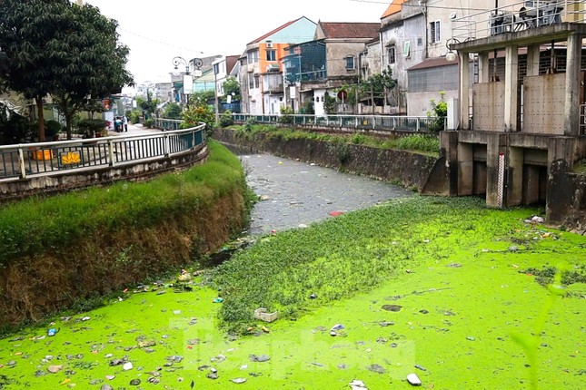 Con kênh bao quanh thành cổ Vinh đen đặc, bốc mùi: Đơn vị quản lý nói gì? ảnh 1