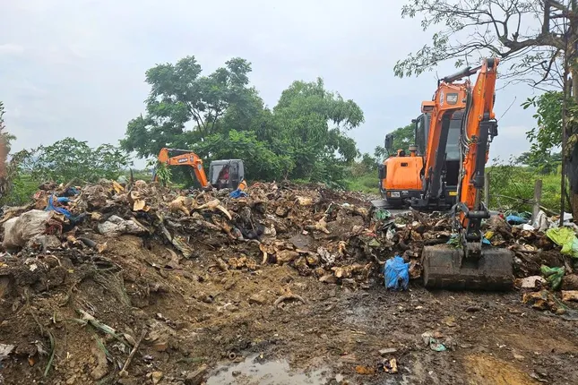 Nghệ An: Thu dọn 'nghĩa địa đầu bò' ảnh 1