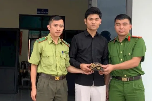 Phát hiện rùa hộp trán vàng quý hiếm dạt vào ven đường sau mưa lớn ảnh 1